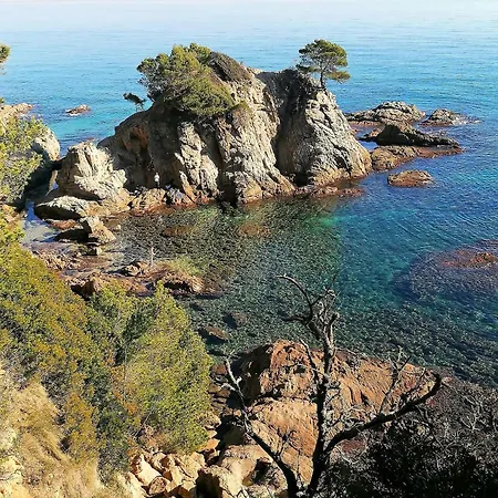 Cba Costa Brava - Vela * Lloret de Mar