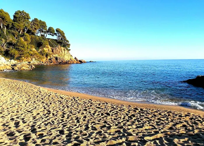 公寓 Cba Costa Brava - Vela 滨海略雷特